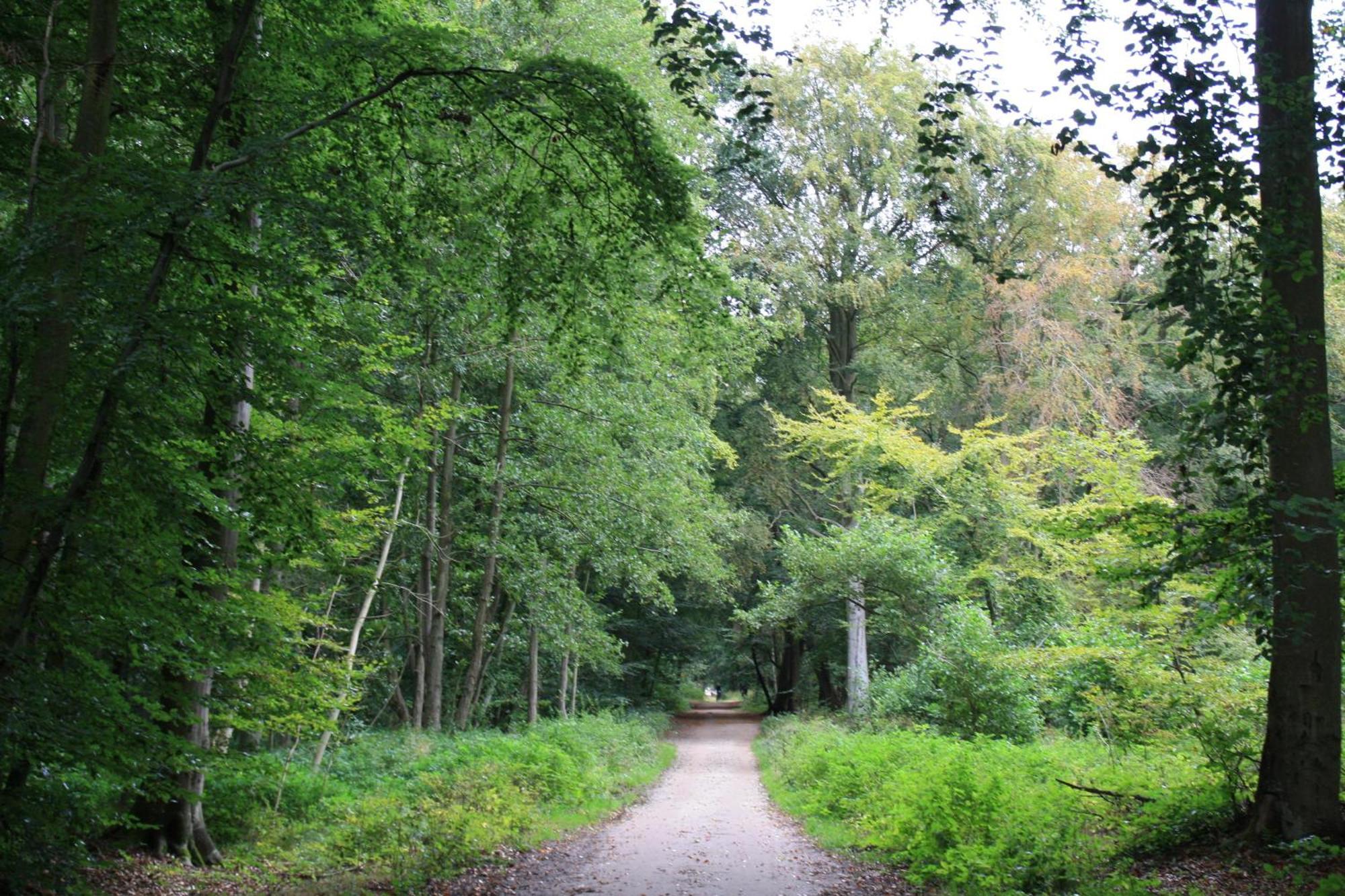 Fewo Kaeuzchen - Ulenhoef Prerow Extérieur photo
